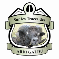ARDI GALDU logo2048px quadri