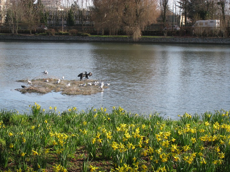 14 vallee auxloups etang colbert