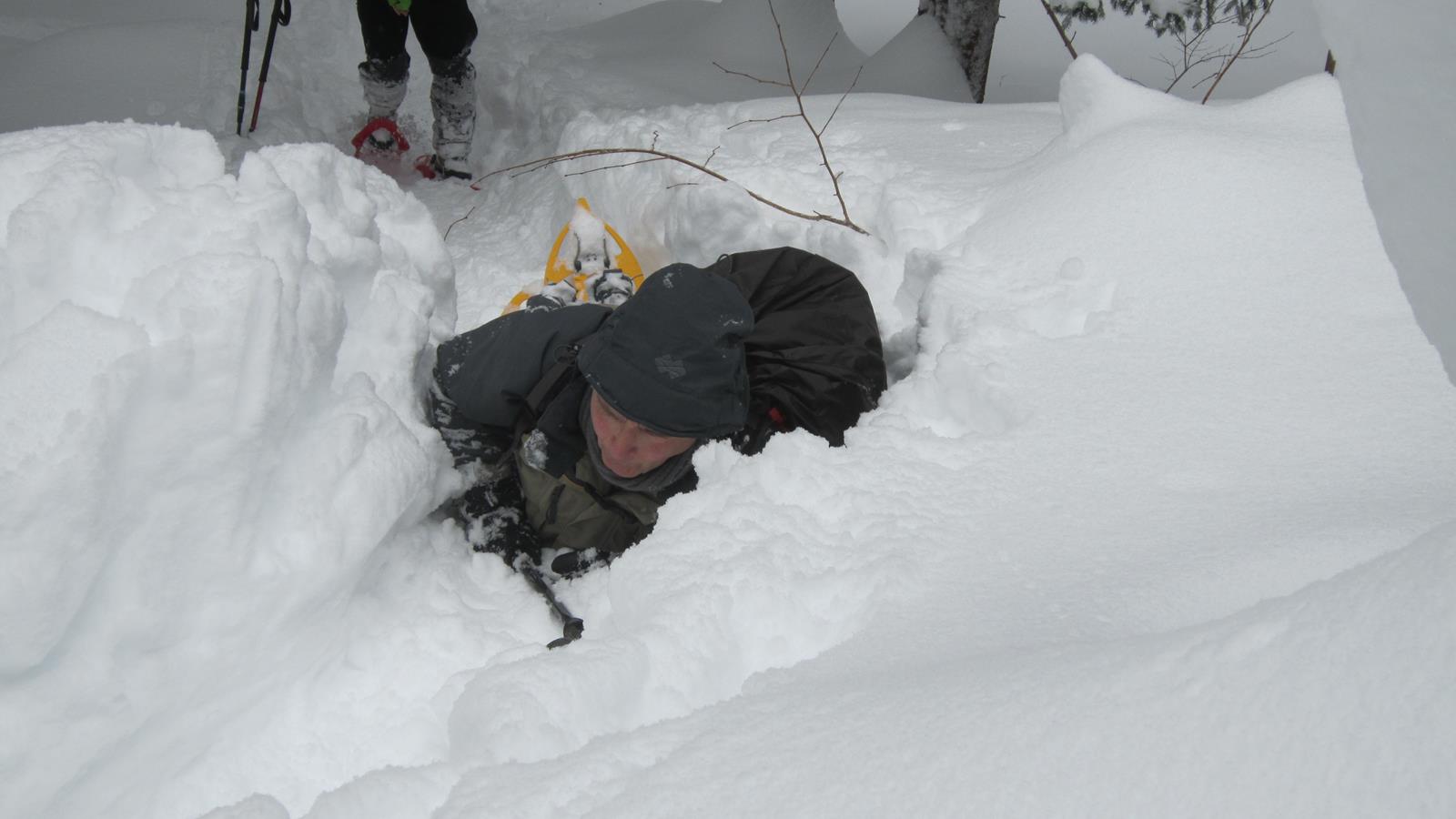 15 vercors neige